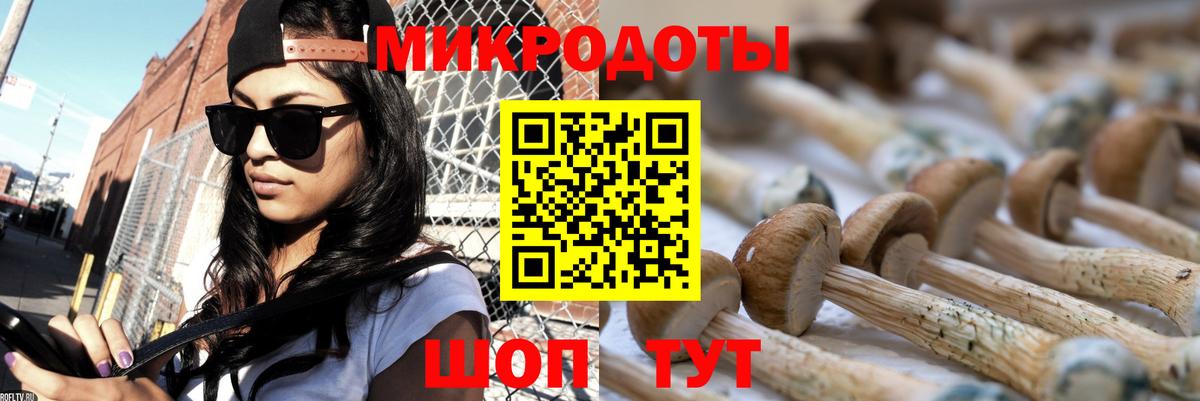 Галлюциногенные грибы MAGIC MUSHROOMS  Вход с VPN  Альметьевск 
